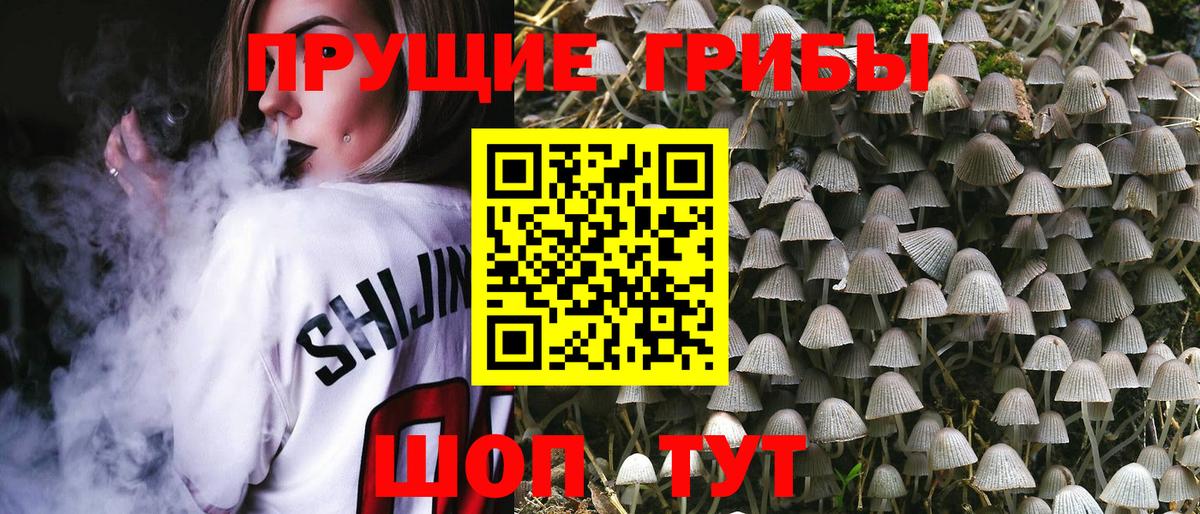 Галлюциногенные грибы Cubensis  где продают наркотики  Котовск  Вход с VPN  Псилоцибиновые грибы Psilocybine cubensis 